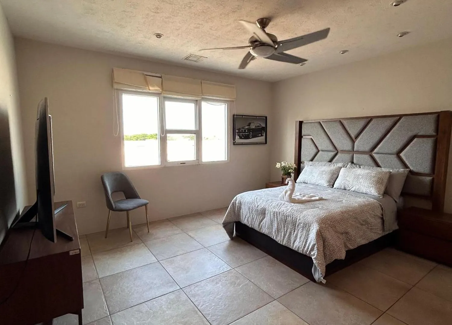 Ave Fenix Cozumel Apartamento